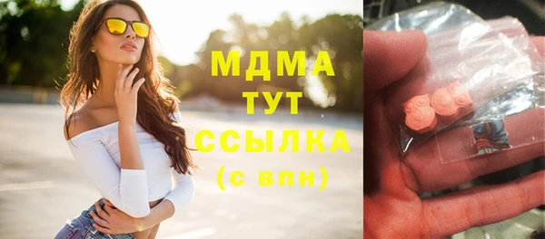 индика Алексин