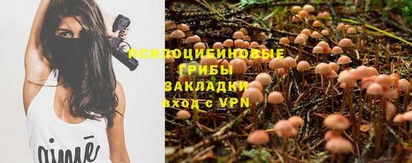эйфоретик Абинск