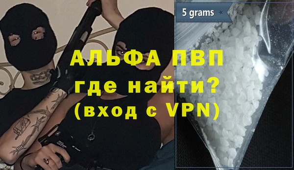 индика Алексин