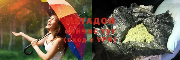 индика Алексин