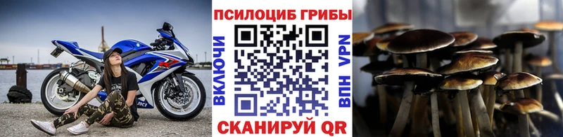 Галлюциногенные грибы мицелий  кракен ССЫЛКА  Ялта 